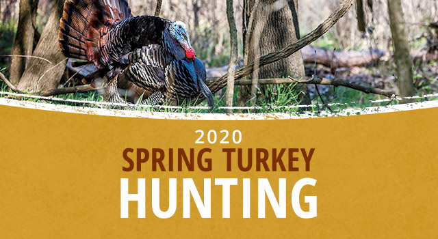 Spring Turkey Hunting